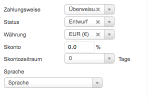 Zahlungspräferenz, Skontoinformationen, Status, Währung und Sprache