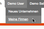 Meine Firmen